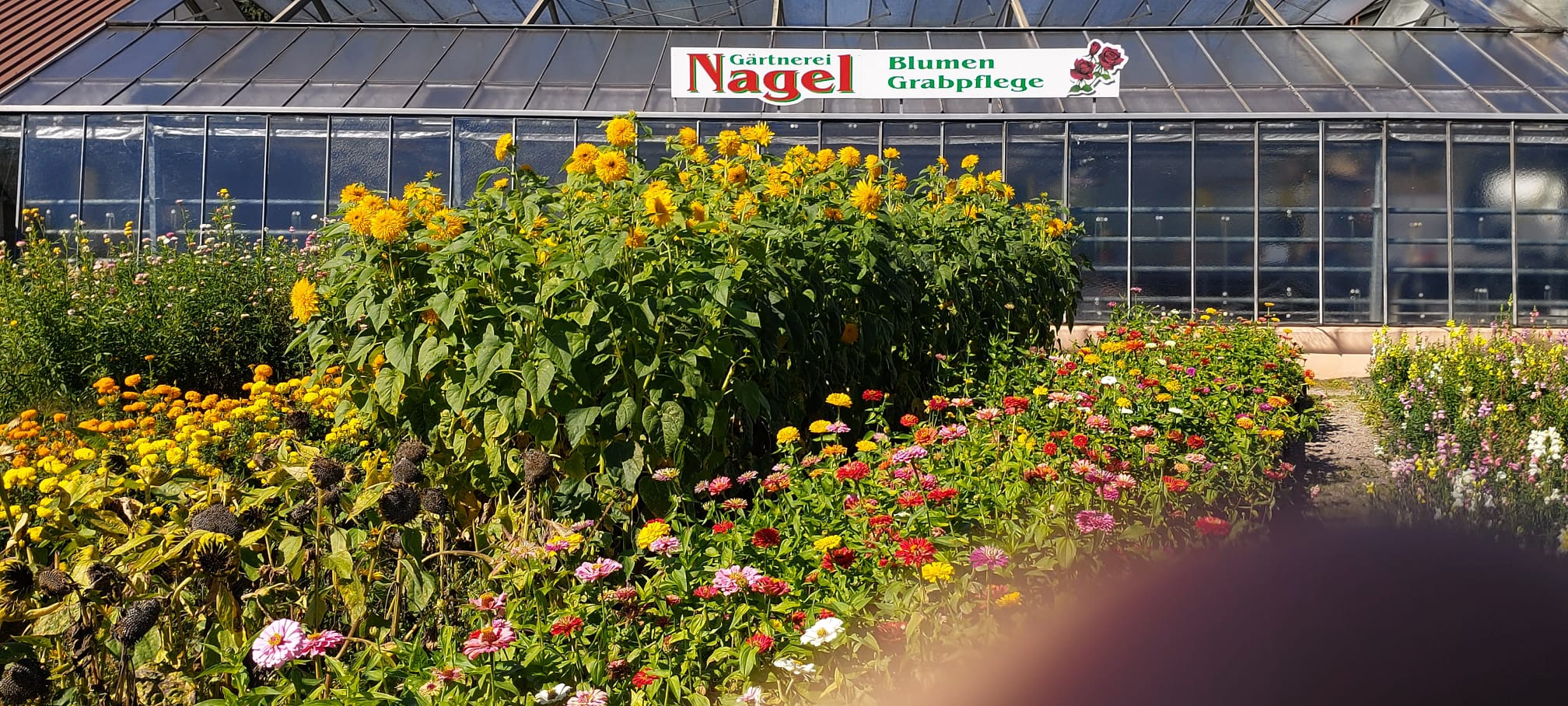 Gärtnerei Nagel Frankfurt